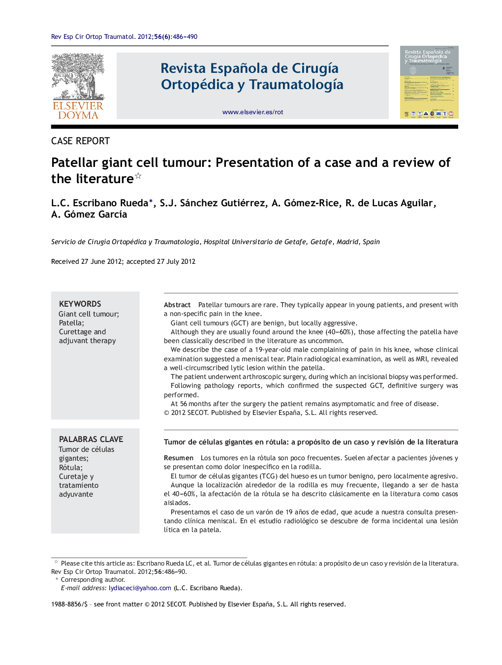 Patellar giant cell tumour: Presentation of a case and a review of the literature 