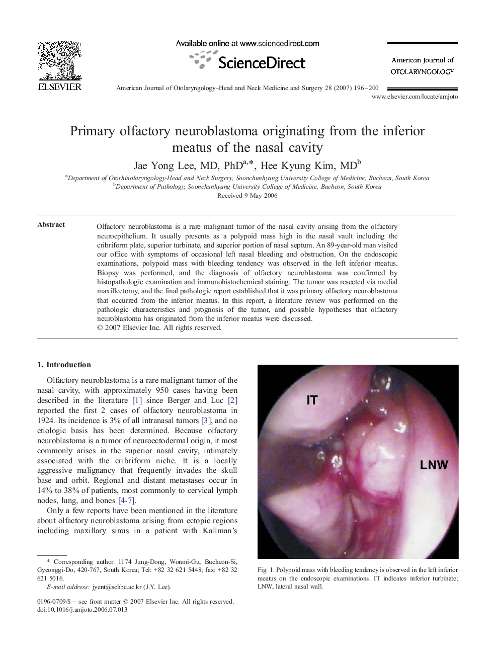 Primary olfactory neuroblastoma originating from the inferior meatus of the nasal cavity