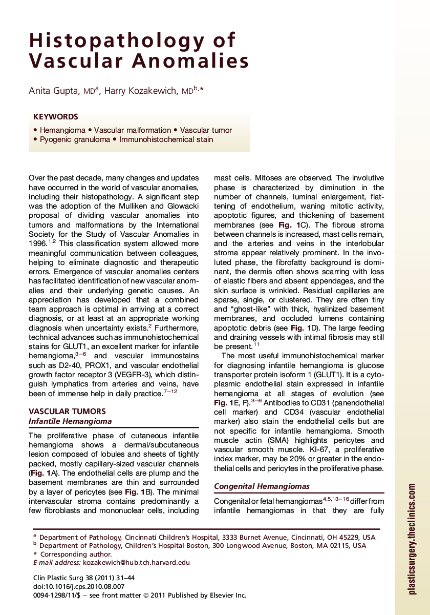 Histopathology of Vascular Anomalies