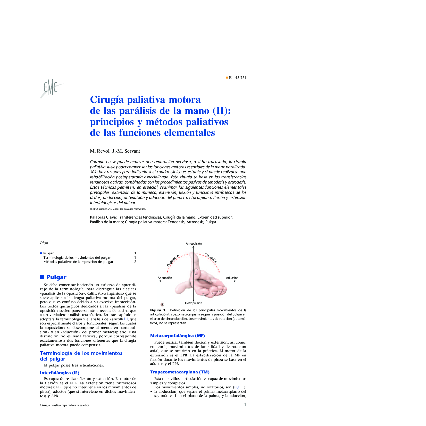 CirugÃ­a paliativa motora de las parálisis de la mano (II): principios y métodos paliativos de las funciones elementales