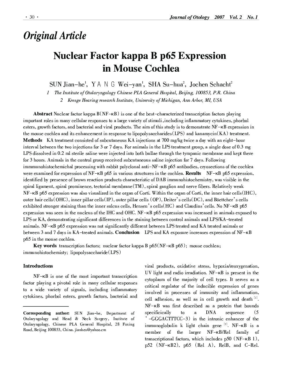 Nuclear Factor kappa B p65 Expression in Mouse Cochlea