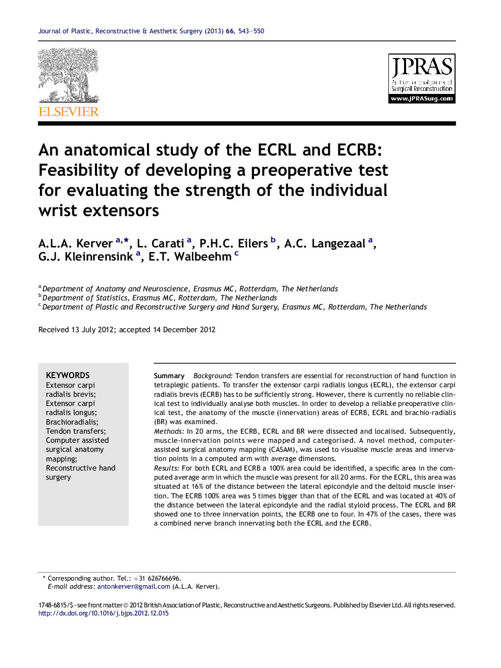 An anatomical study of the ECRL and ECRB: Feasibility of developing a preoperative test for evaluating the strength of the individual wrist extensors