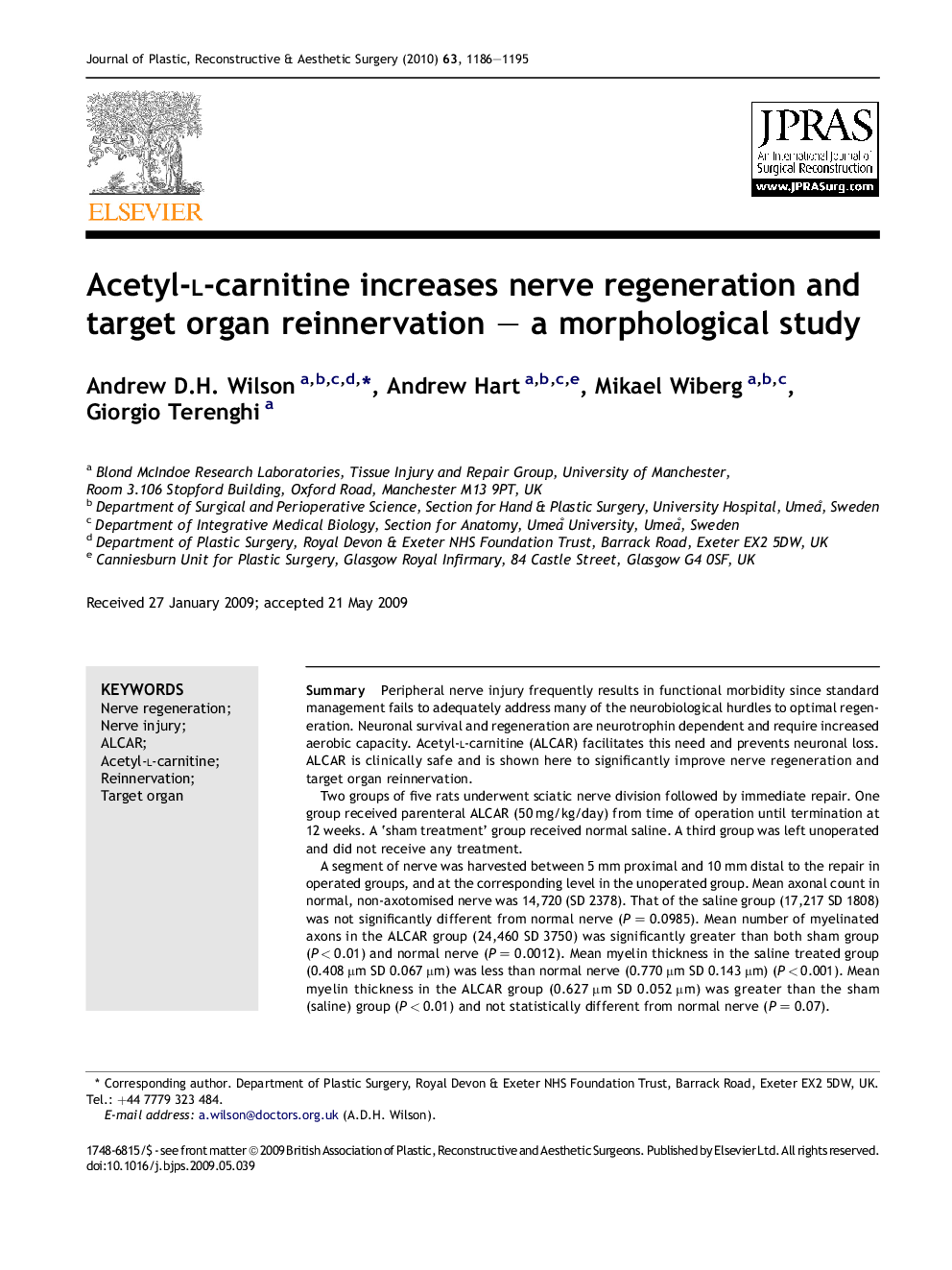 Acetyl-l-carnitine increases nerve regeneration and target organ reinnervation – a morphological study