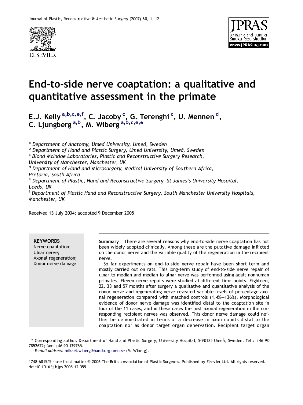 End-to-side nerve coaptation: a qualitative and quantitative assessment in the primate