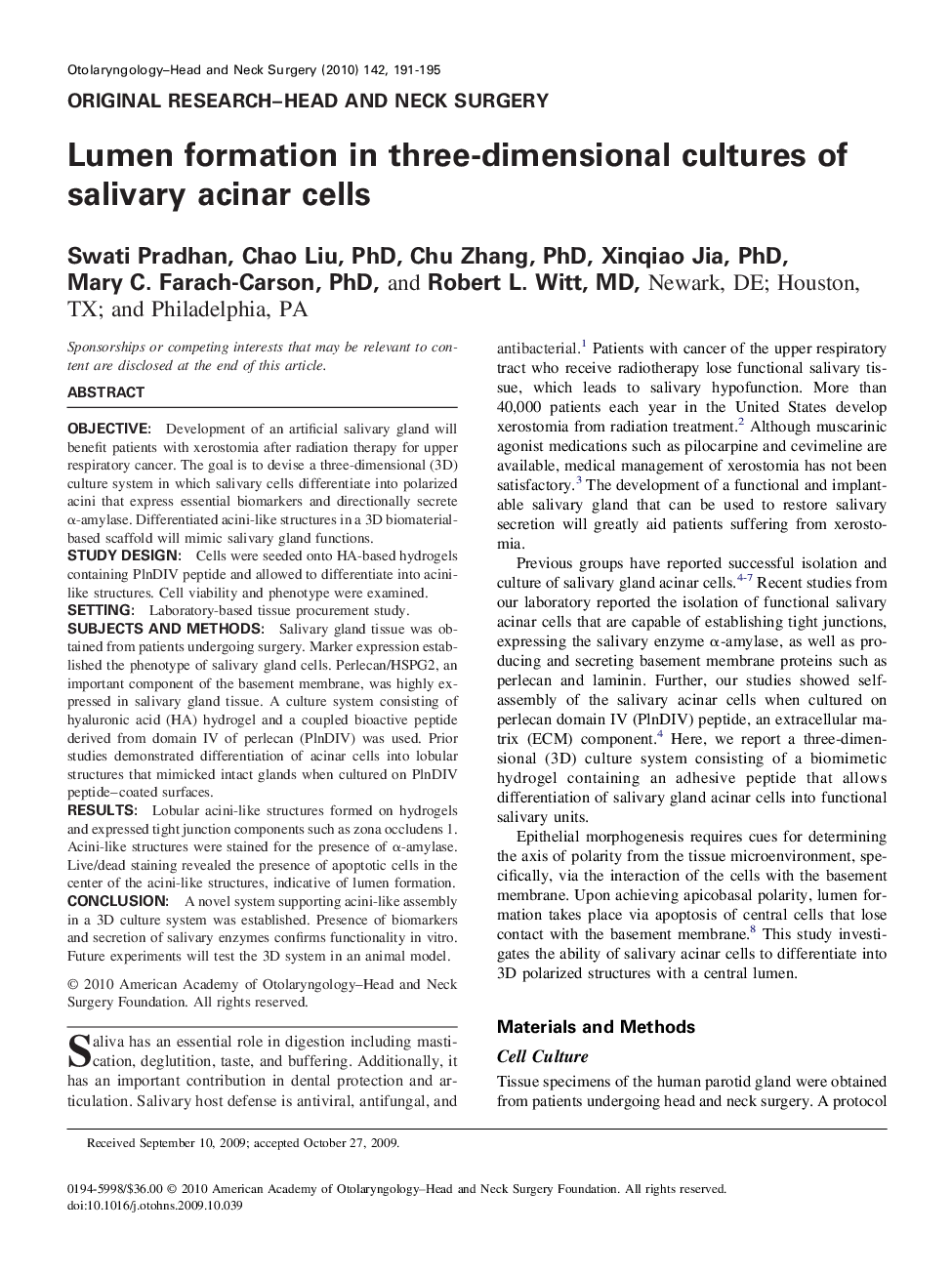 Lumen formation in three-dimensional cultures of salivary acinar cells