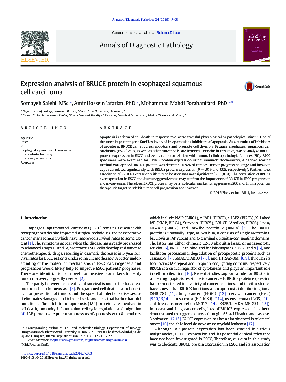 Expression analysis of BRUCE protein in esophageal squamous cell carcinoma