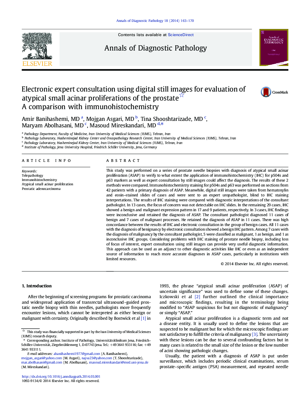 Electronic expert consultation using digital still images for evaluation of atypical small acinar proliferations of the prostate : A comparison with immunohistochemistry