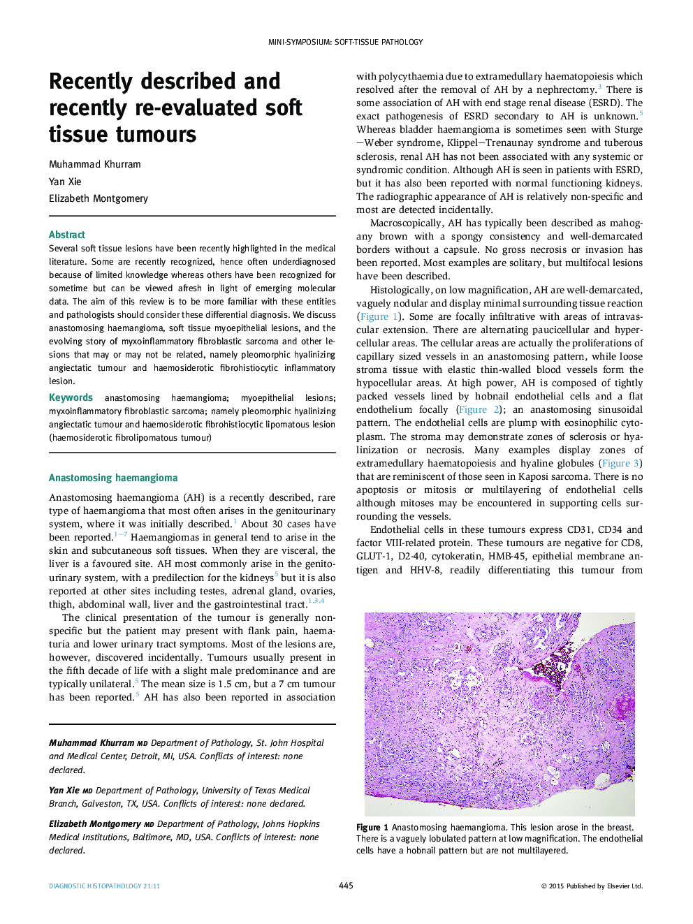 Recently described and recently re-evaluated soft tissue tumours
