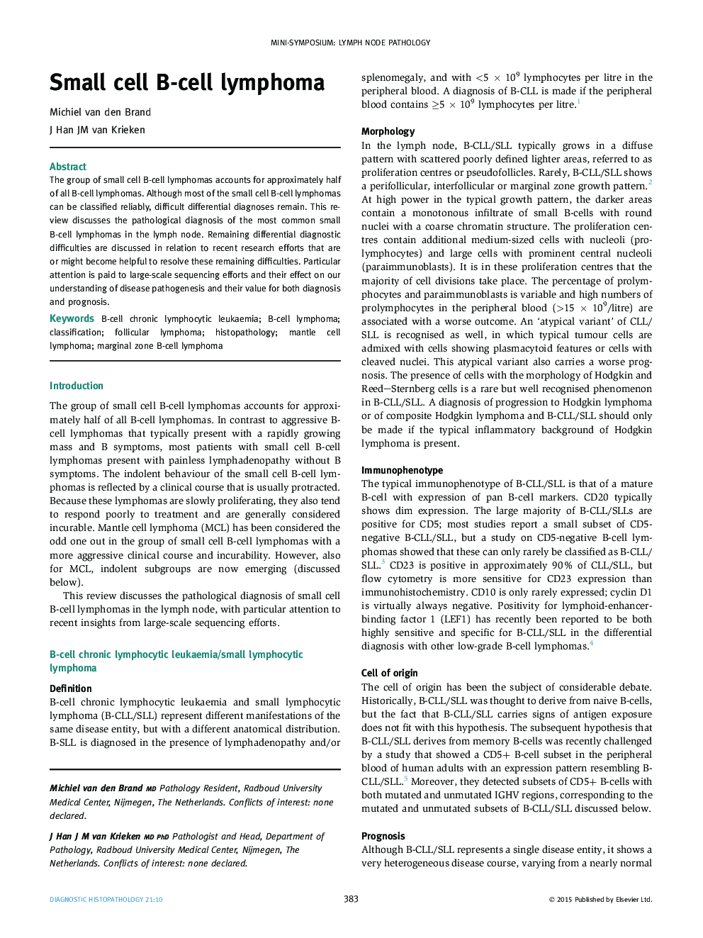 Small cell B-cell lymphoma