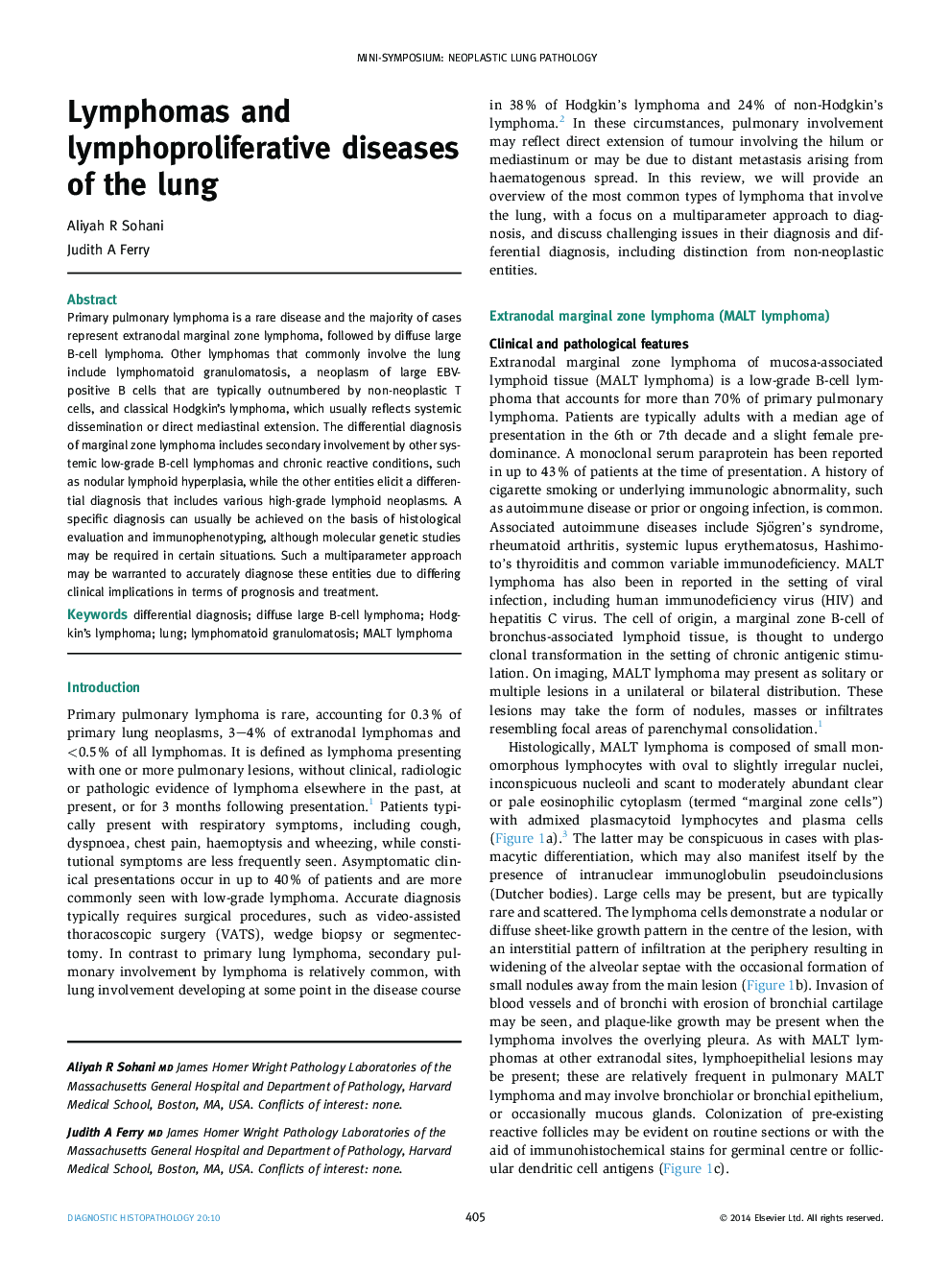 Lymphomas and lymphoproliferative diseases of the lung