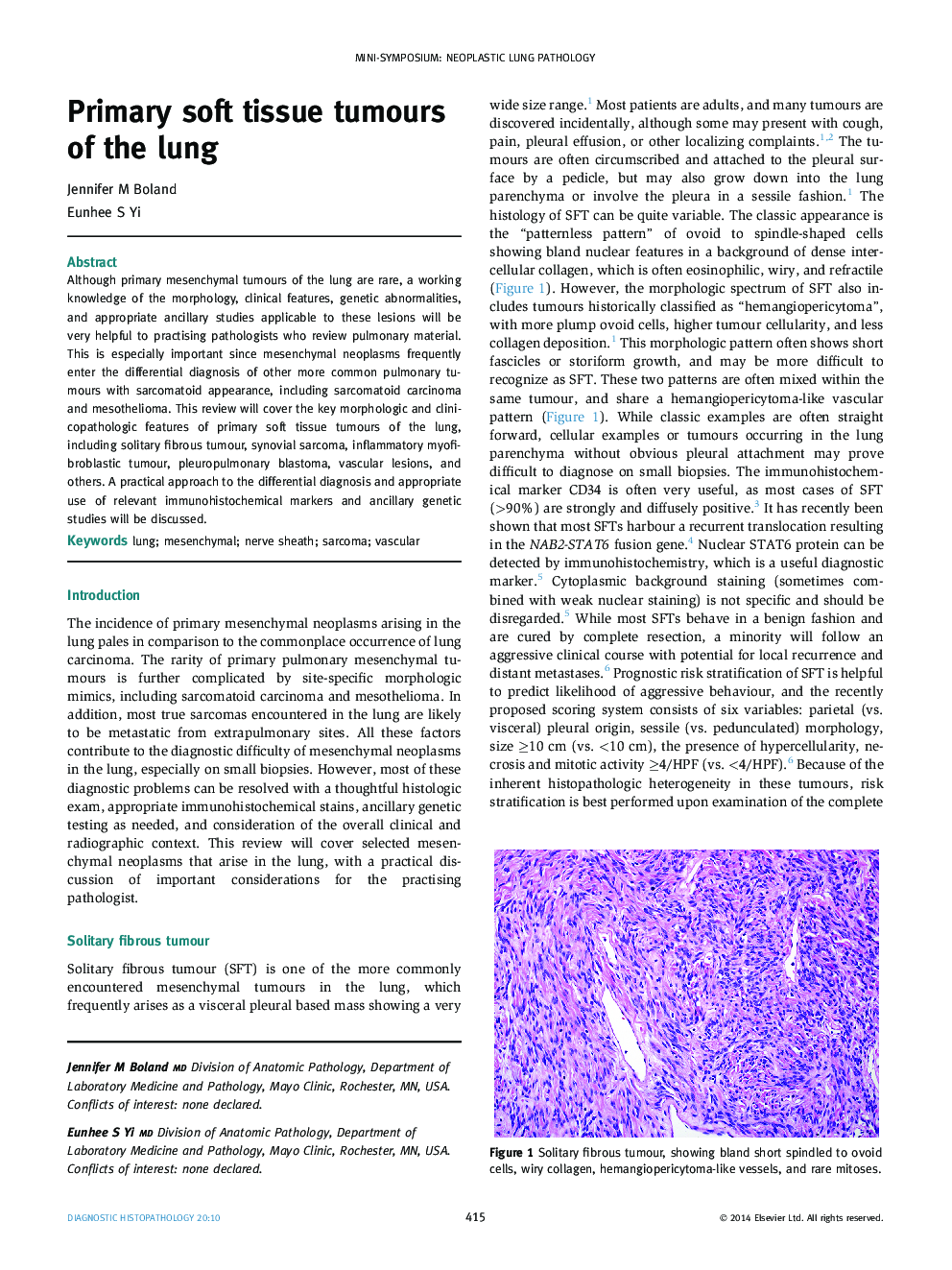 Primary soft tissue tumours of the lung