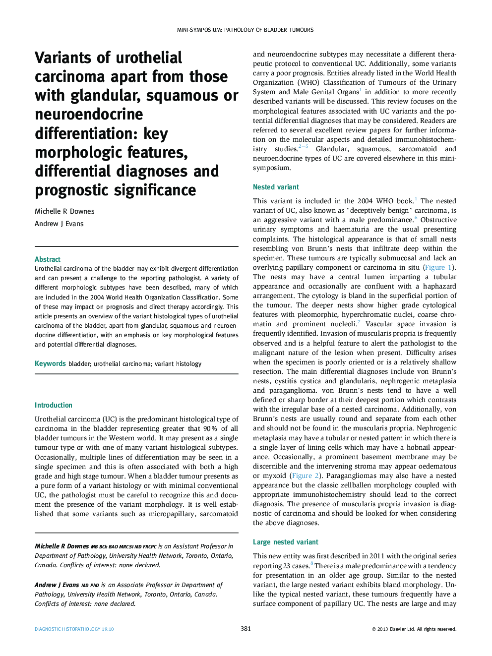 Variants of urothelial carcinoma apart from those with glandular, squamous or neuroendocrine differentiation: key morphologic features, differential diagnoses and prognostic significance