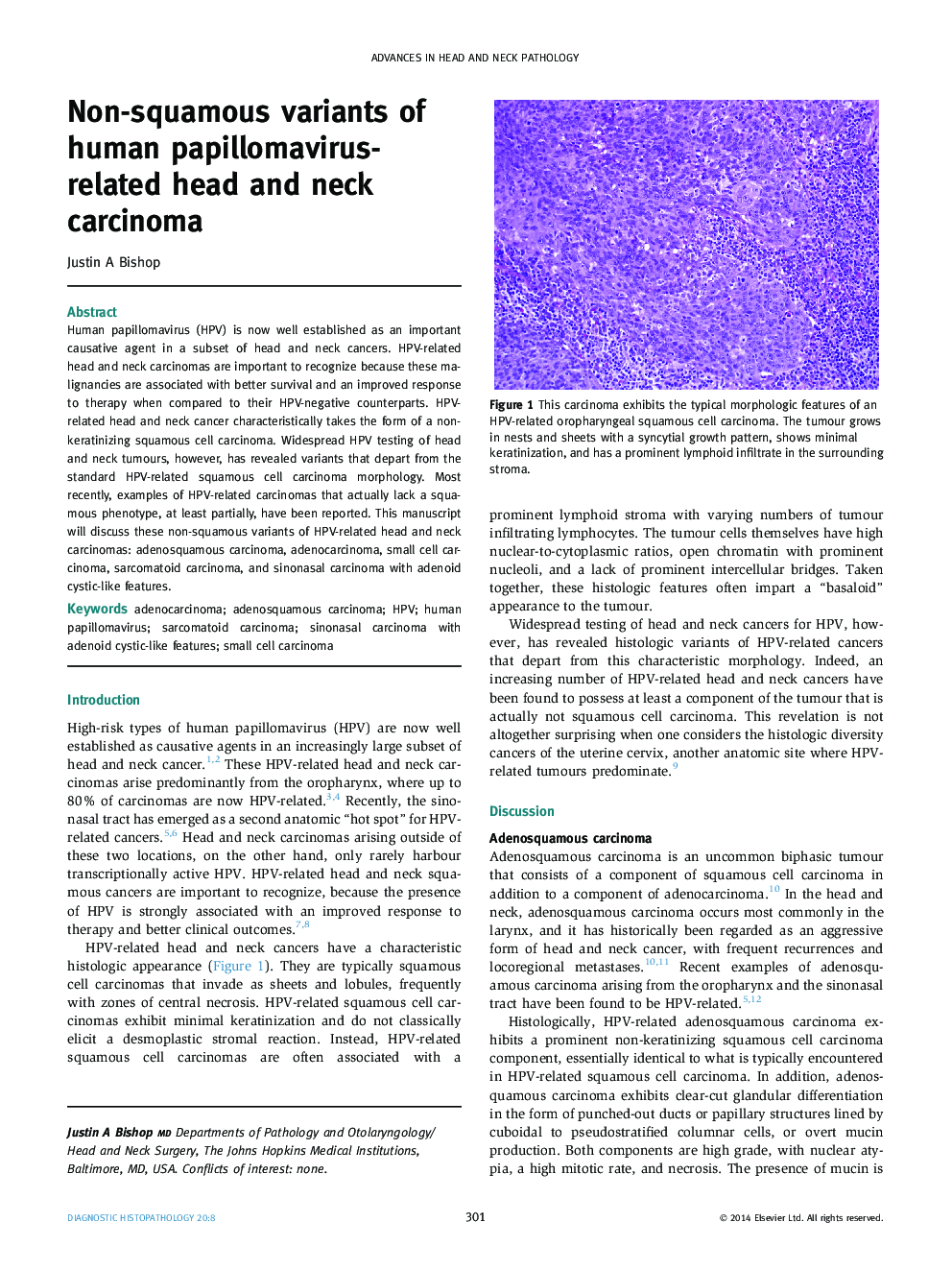 Non-squamous variants of human papillomavirus-related head and neck carcinoma