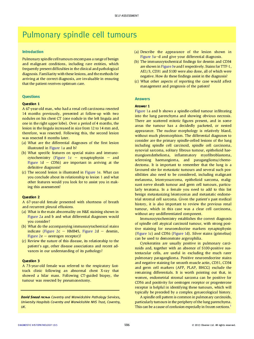 Pulmonary spindle cell tumours