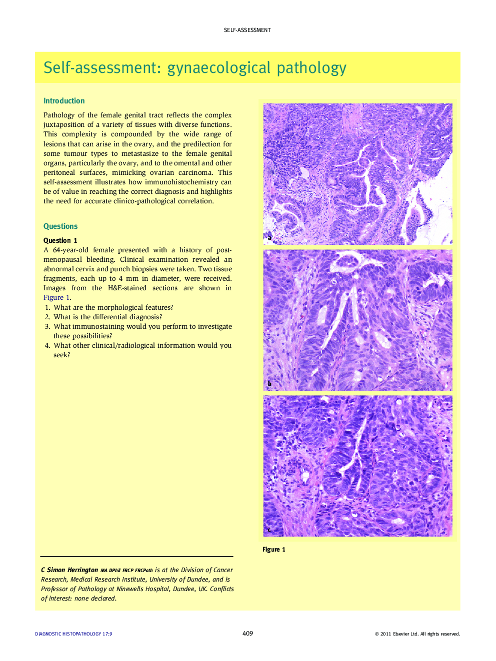 Self-assessment: gynaecological pathology