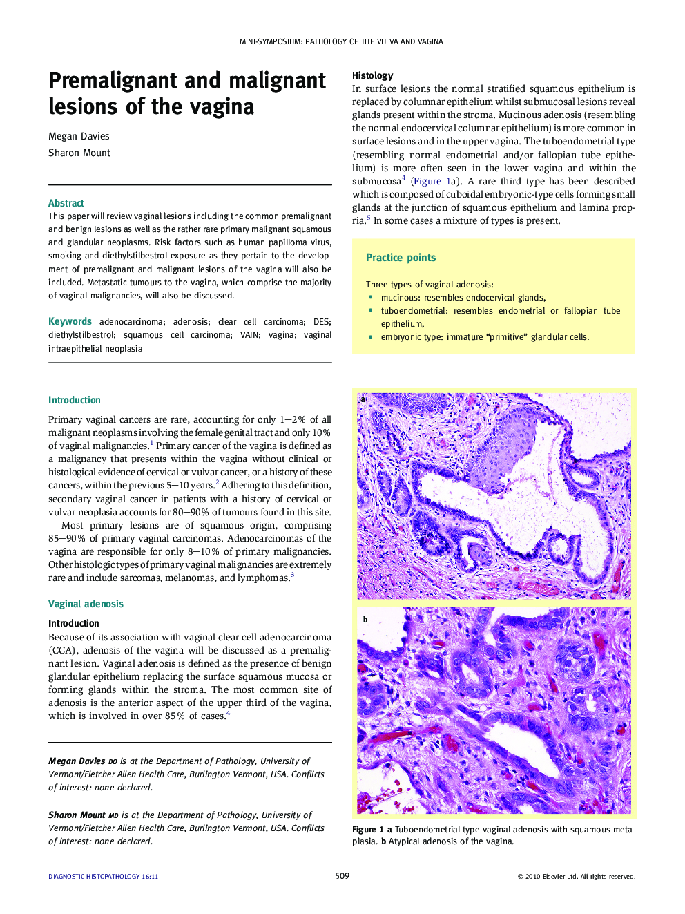 Premalignant and malignant lesions of the vagina