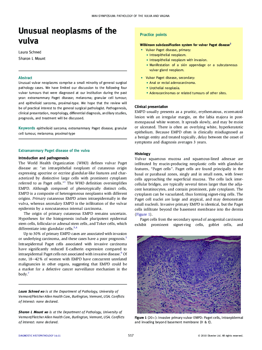 Unusual neoplasms of the vulva