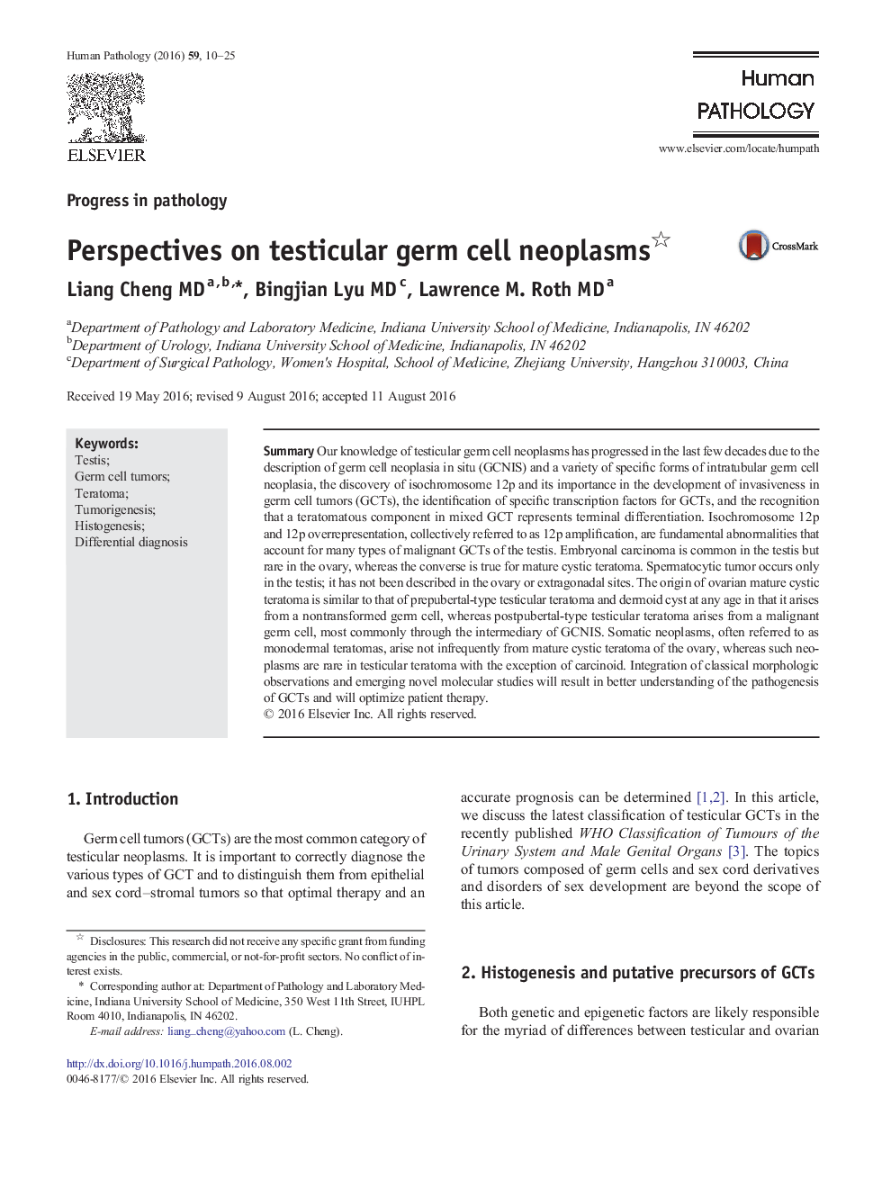 Perspectives on testicular germ cell neoplasms 