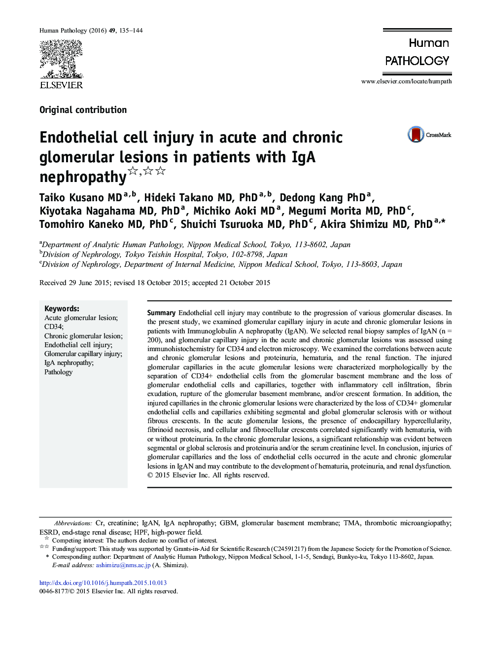 Endothelial cell injury in acute and chronic glomerular lesions in patients with IgA nephropathy 