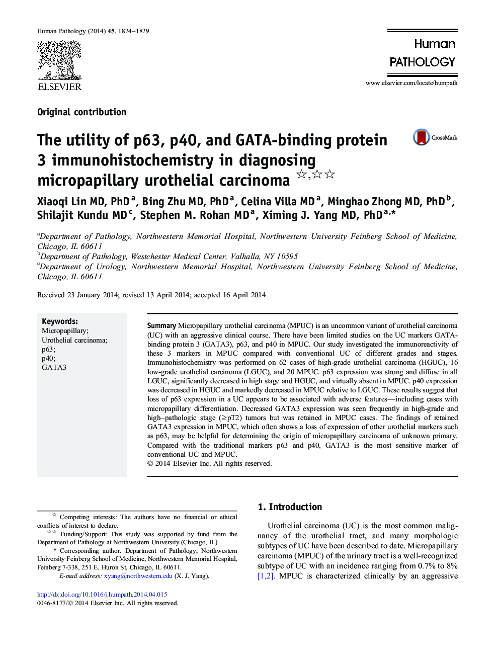 The utility of p63, p40, and GATA-binding protein 3 immunohistochemistry in diagnosing micropapillary urothelial carcinoma 