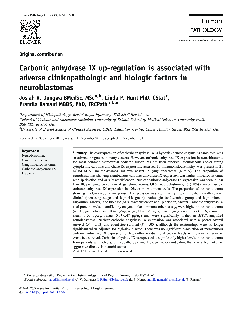 Carbonic anhydrase IX up-regulation is associated with adverse clinicopathologic and biologic factors in neuroblastomas