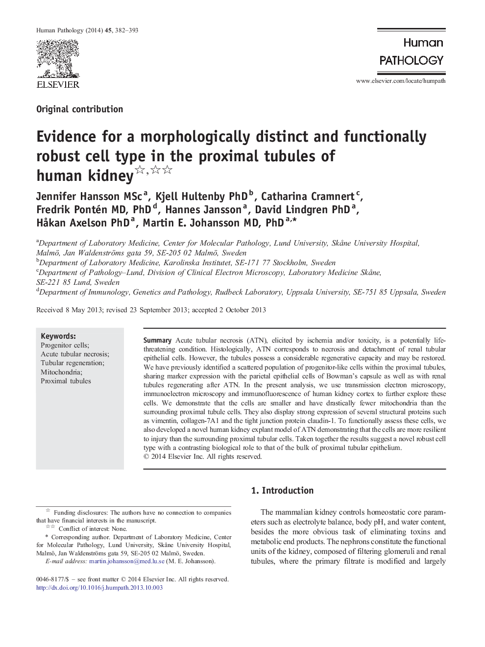 Evidence for a morphologically distinct and functionally robust cell type in the proximal tubules of human kidney 