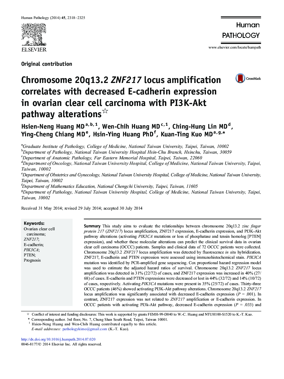 Chromosome 20q13.2 ZNF217 locus amplification correlates with decreased E-cadherin expression in ovarian clear cell carcinoma with PI3K-Akt pathway alterations 