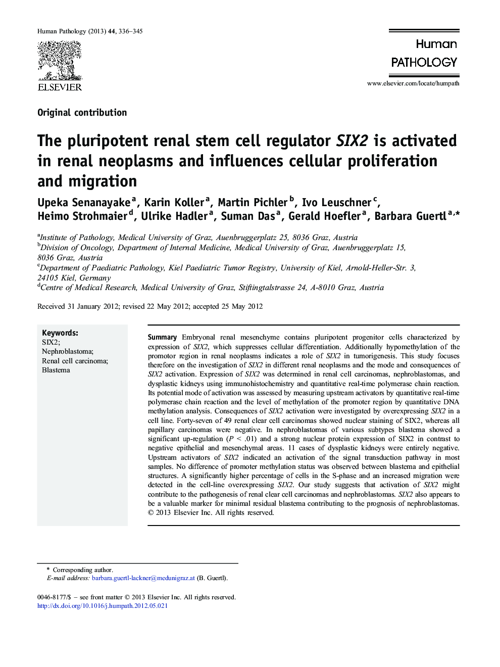 The pluripotent renal stem cell regulator SIX2 is activated in renal neoplasms and influences cellular proliferation and migration