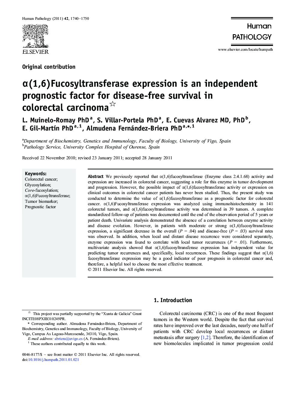 α(1,6)Fucosyltransferase expression is an independent prognostic factor for disease-free survival in colorectal carcinoma 