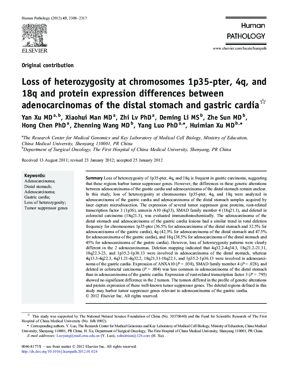 Loss of heterozygosity at chromosomes 1p35-pter, 4q, and 18q and protein expression differences between adenocarcinomas of the distal stomach and gastric cardia 