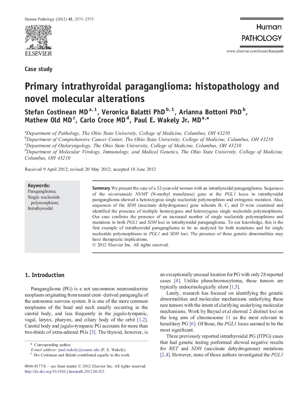 Primary intrathyroidal paraganglioma: histopathology and novel molecular alterations