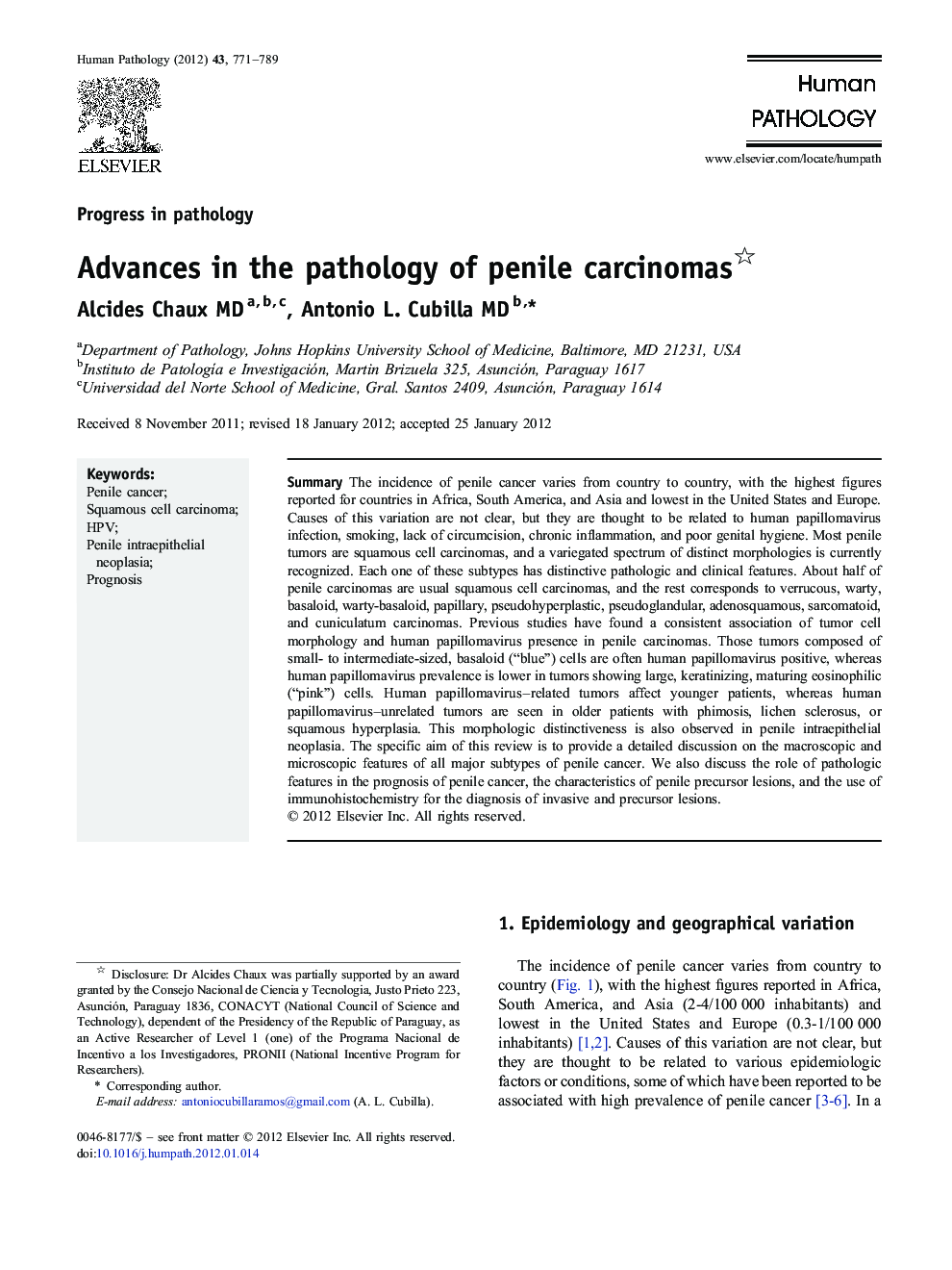 Advances in the pathology of penile carcinomas 