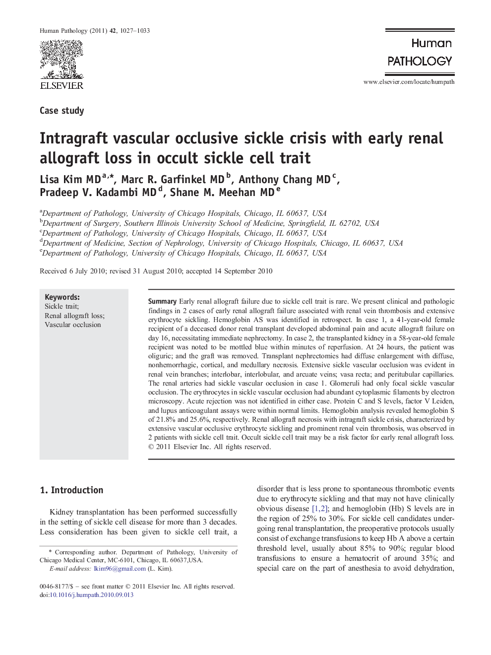 Intragraft vascular occlusive sickle crisis with early renal allograft loss in occult sickle cell trait