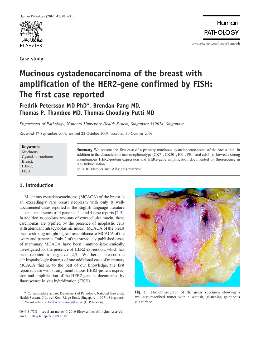 Mucinous cystadenocarcinoma of the breast with amplification of the HER2-gene confirmed by FISH: The first case reported