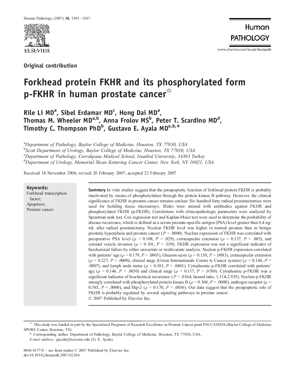 Forkhead protein FKHR and its phosphorylated form p-FKHR in human prostate cancer 