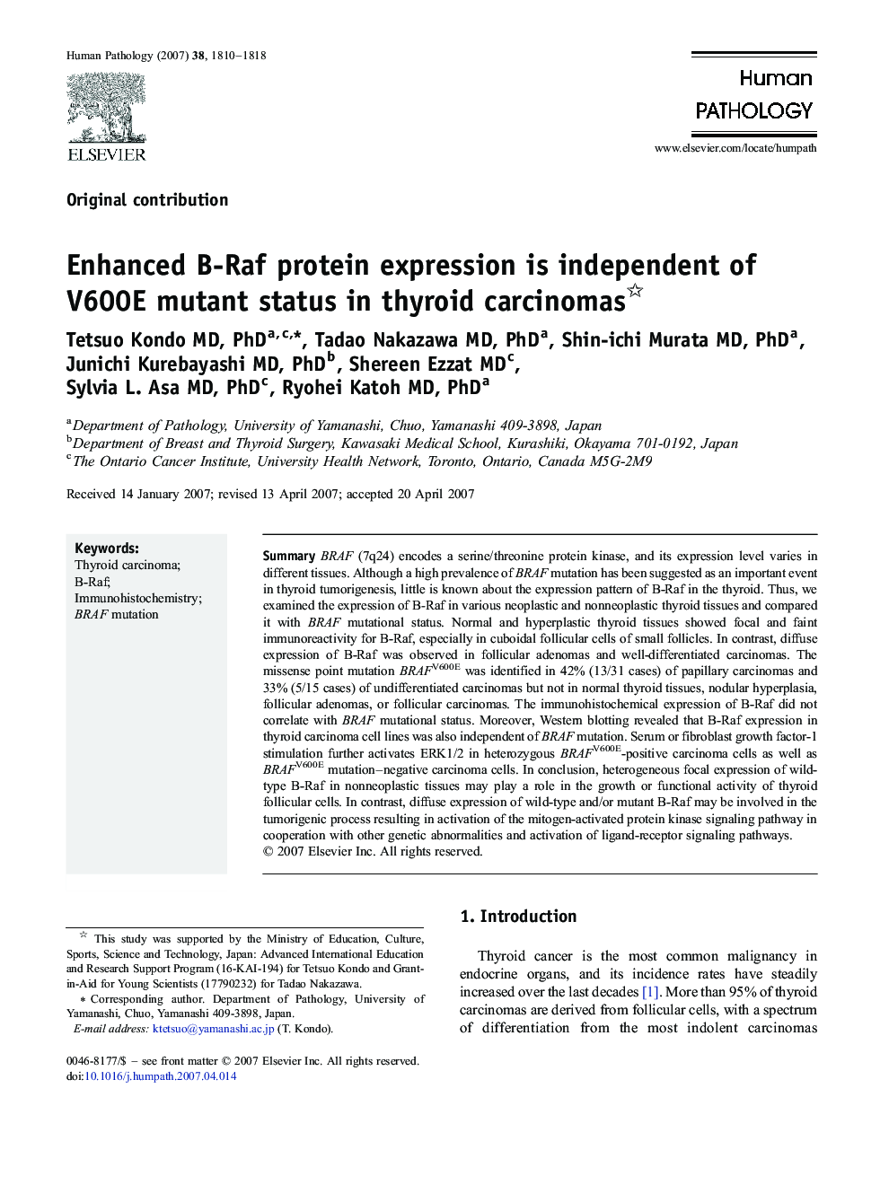 Enhanced B-Raf protein expression is independent of V600E mutant status in thyroid carcinomas 