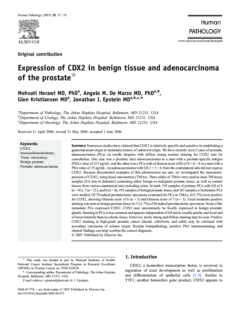 Expression of CDX2 in benign tissue and adenocarcinoma of the prostate 