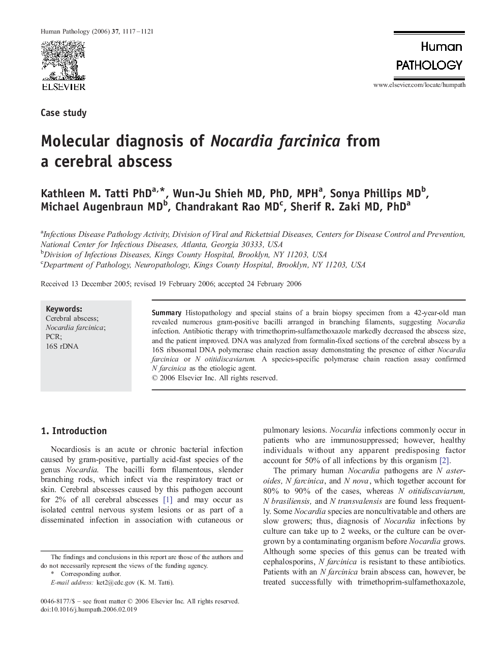 Molecular diagnosis of Nocardia farcinica from a cerebral abscess 