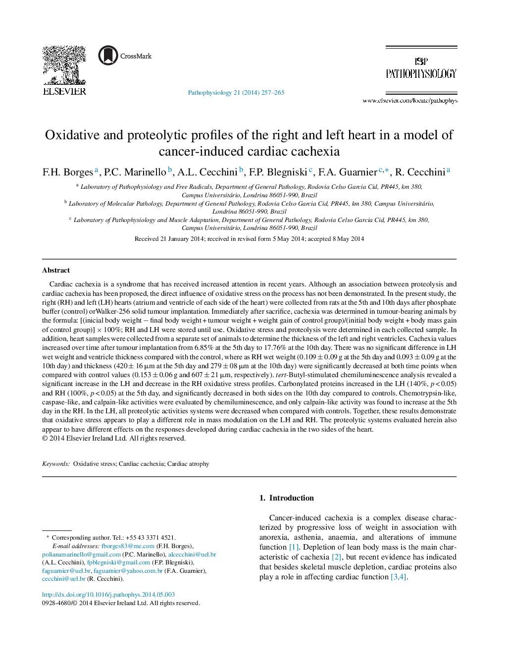 Oxidative and proteolytic profiles of the right and left heart in a model of cancer-induced cardiac cachexia