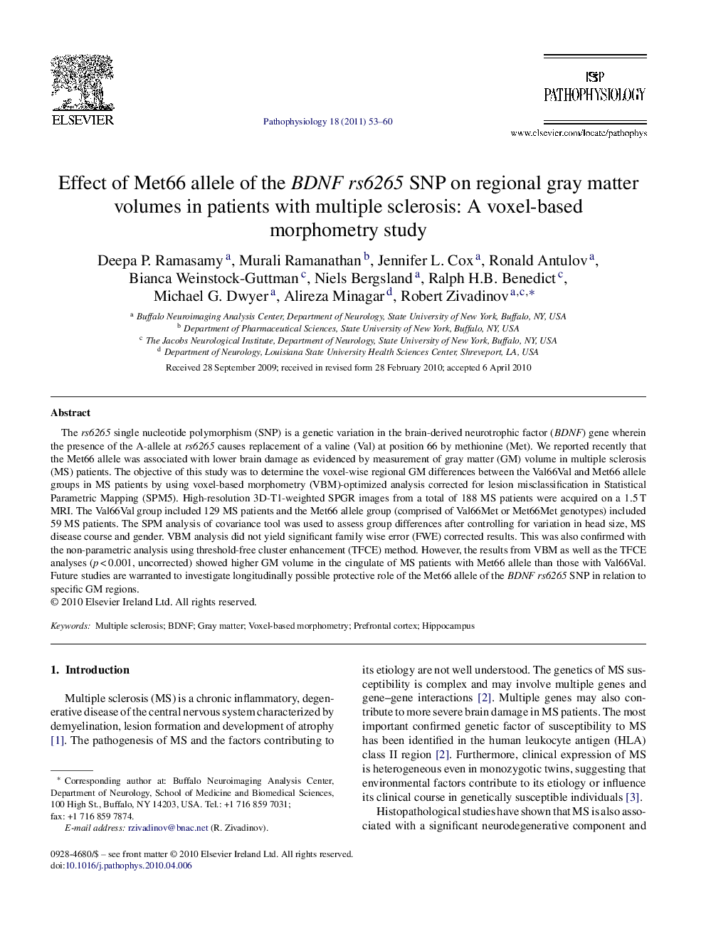 Effect of Met66 allele of the BDNF rs6265 SNP on regional gray matter volumes in patients with multiple sclerosis: A voxel-based morphometry study