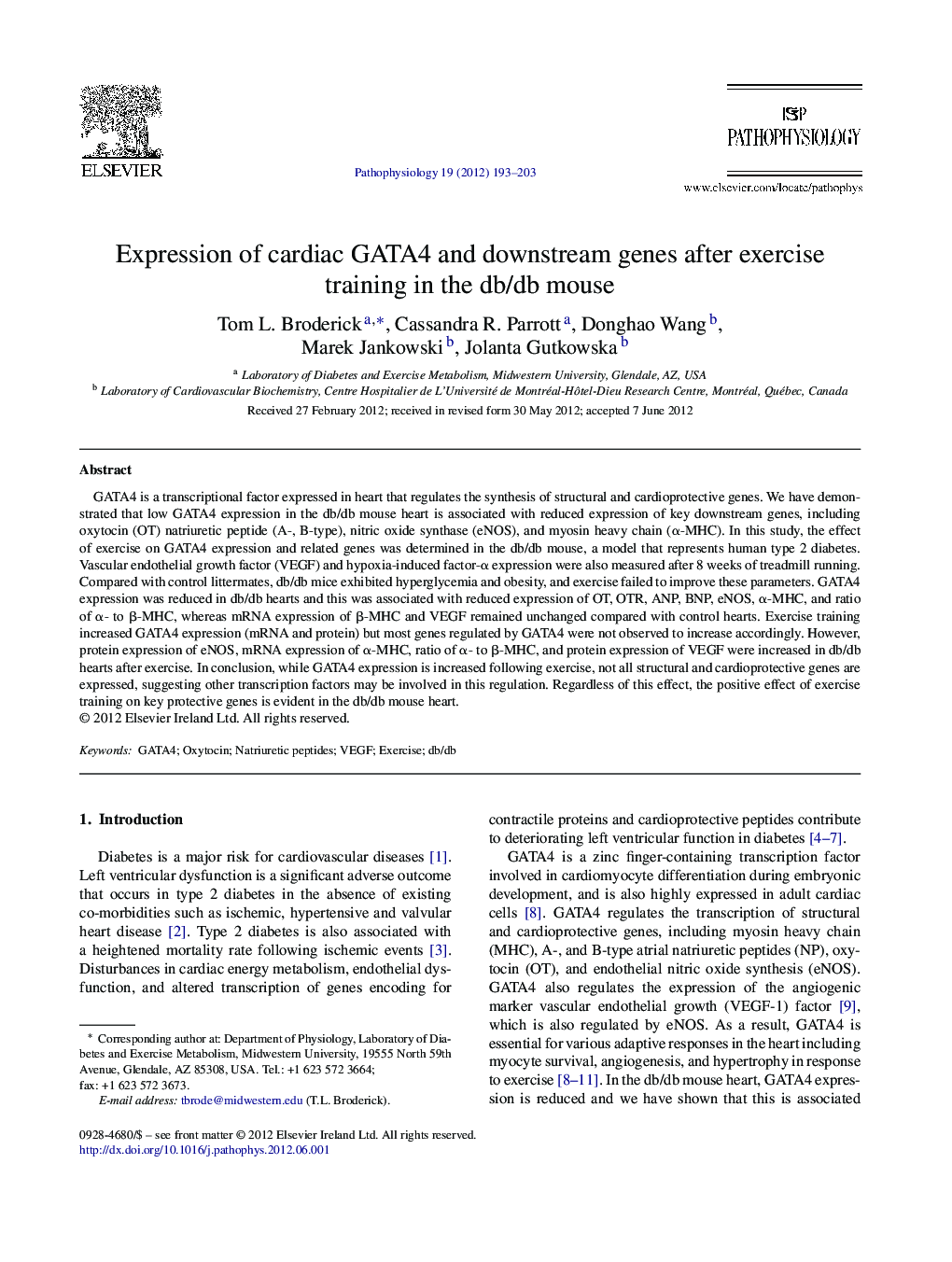 Expression of cardiac GATA4 and downstream genes after exercise training in the db/db mouse