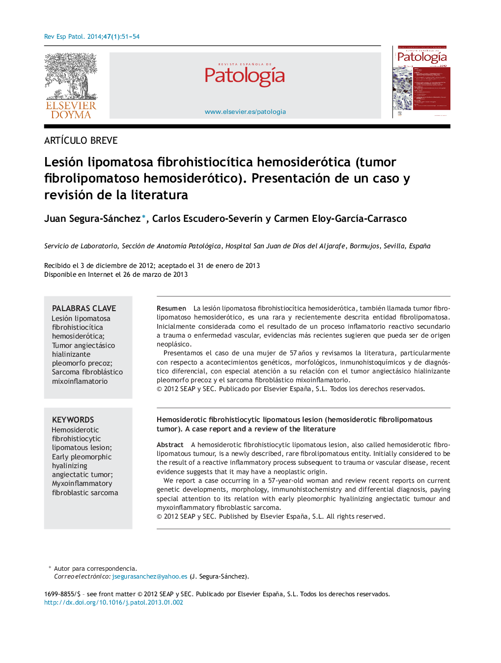 Lesión lipomatosa fibrohistiocítica hemosiderótica (tumor fibrolipomatoso hemosiderótico). Presentación de un caso y revisión de la literatura