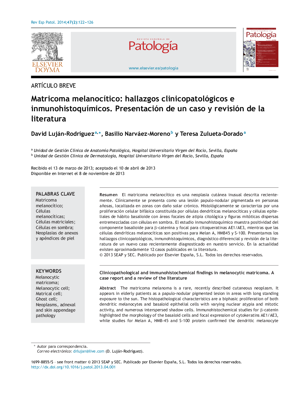 Matricoma melanocítico: hallazgos clinicopatológicos e inmunohistoquímicos. Presentación de un caso y revisión de la literatura