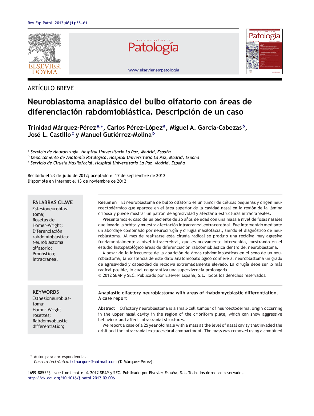 Neuroblastoma anaplásico del bulbo olfatorio con áreas de diferenciación rabdomioblástica. Descripción de un caso