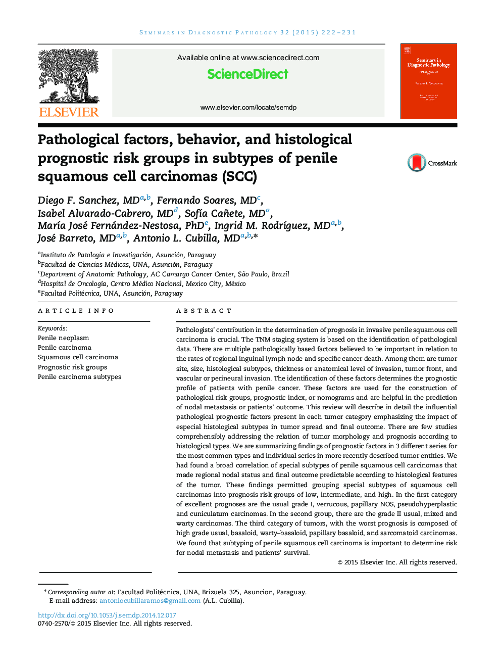 Pathological factors, behavior, and histological prognostic risk groups in subtypes of penile squamous cell carcinomas (SCC)