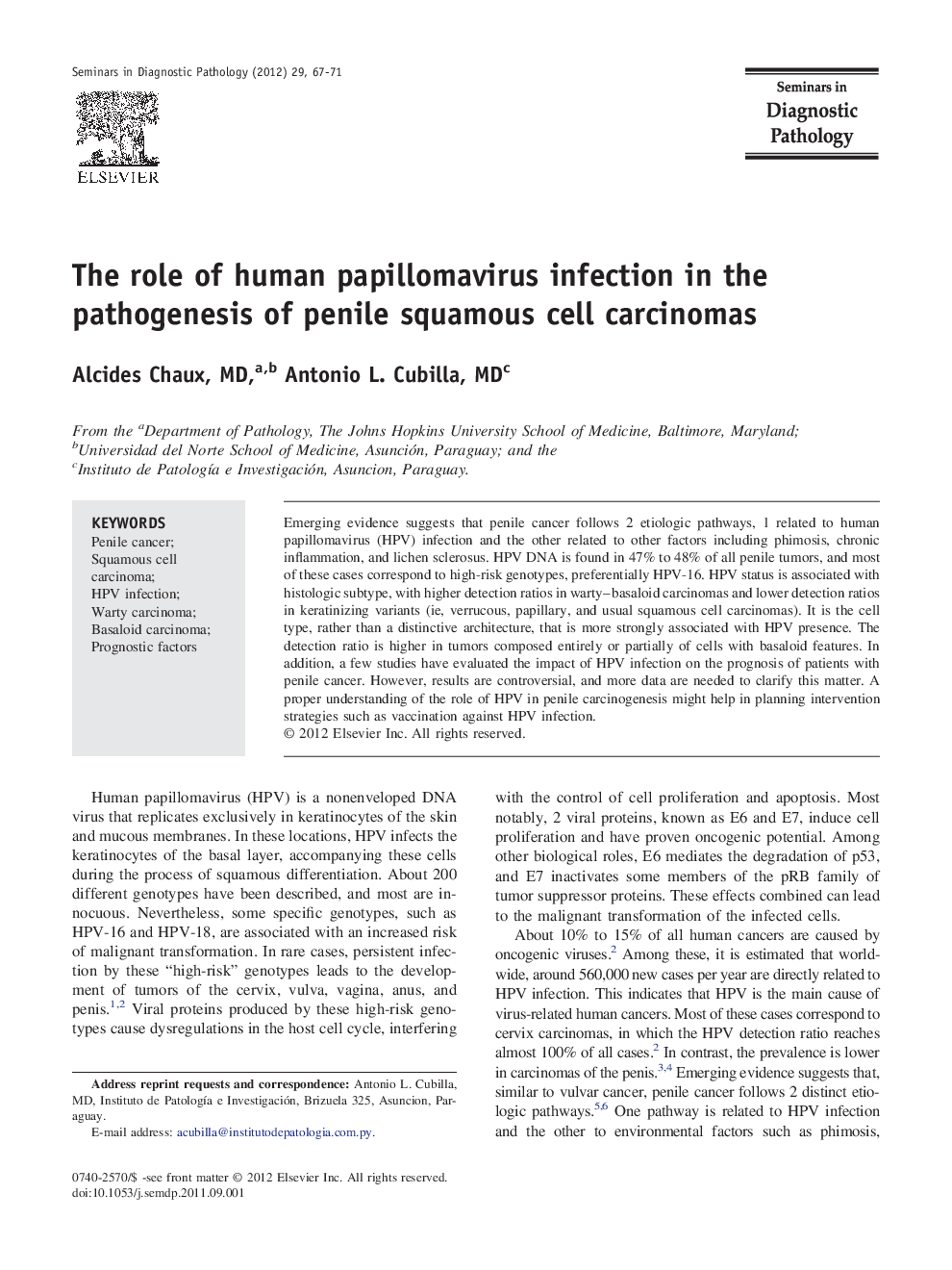 The role of human papillomavirus infection in the pathogenesis of penile squamous cell carcinomas