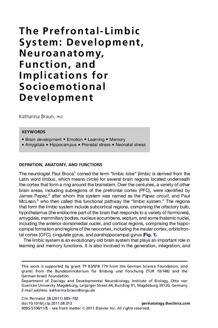 The Prefrontal-Limbic System: Development, Neuroanatomy, Function, and Implications for Socioemotional Development