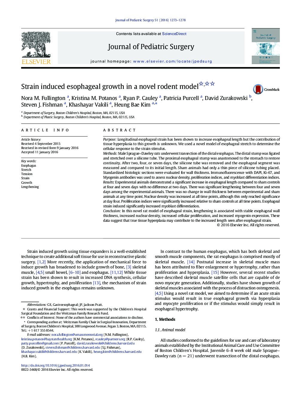 Strain induced esophageal growth in a novel rodent model 