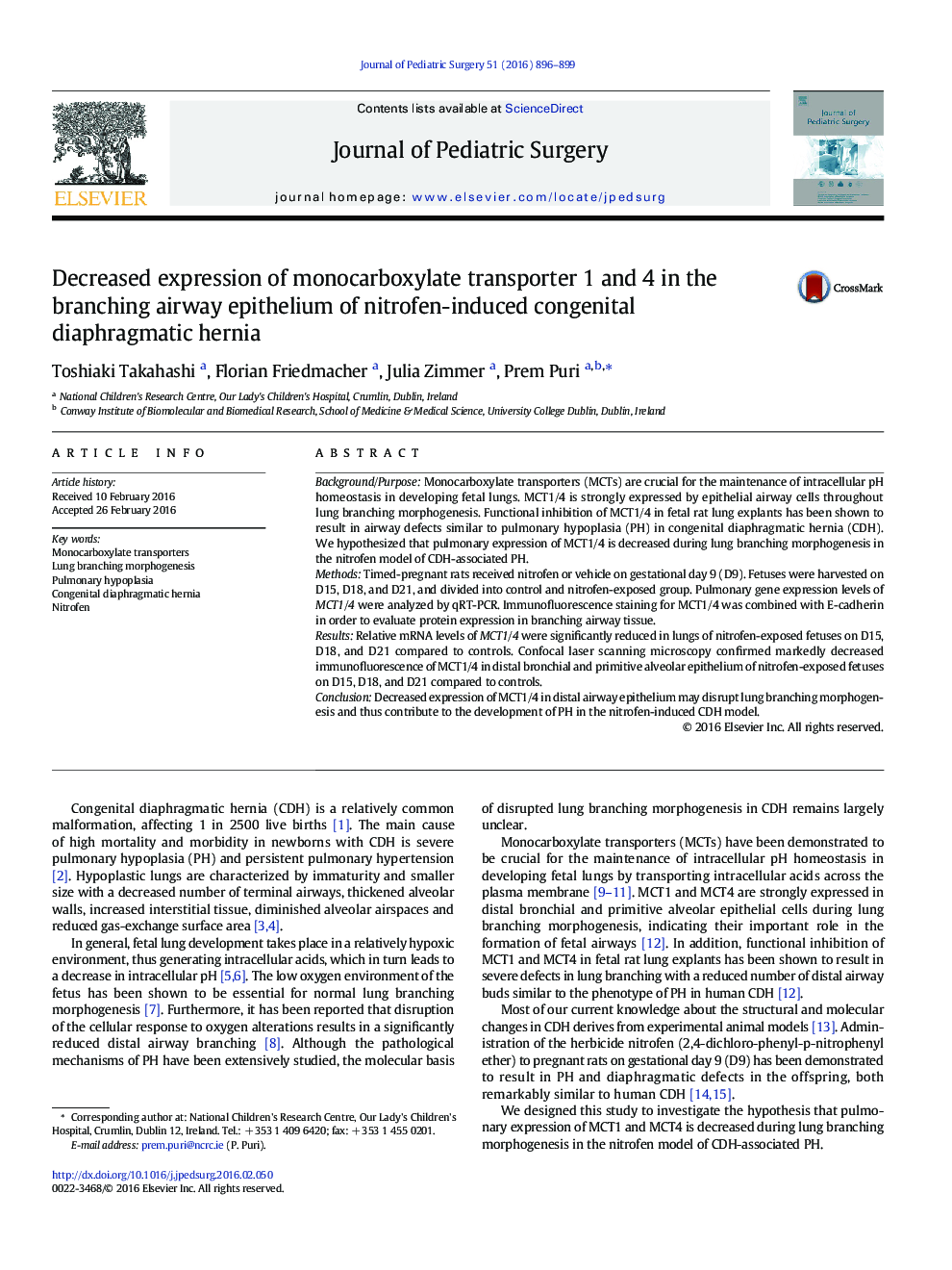 Decreased expression of monocarboxylate transporter 1 and 4 in the branching airway epithelium of nitrofen-induced congenital diaphragmatic hernia