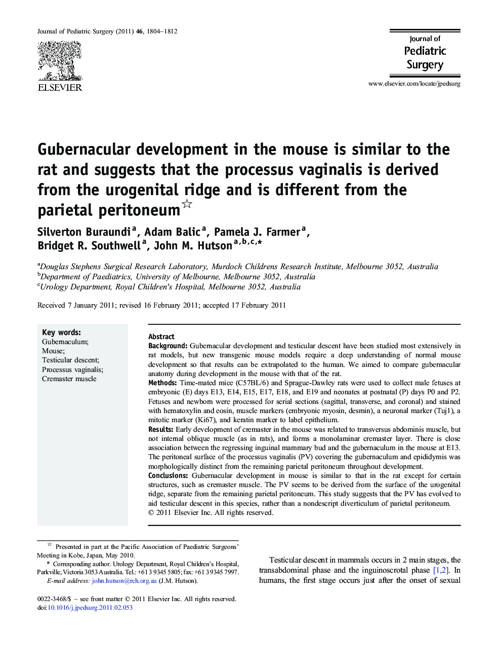 Gubernacular development in the mouse is similar to the rat and suggests that the processus vaginalis is derived from the urogenital ridge and is different from the parietal peritoneum 